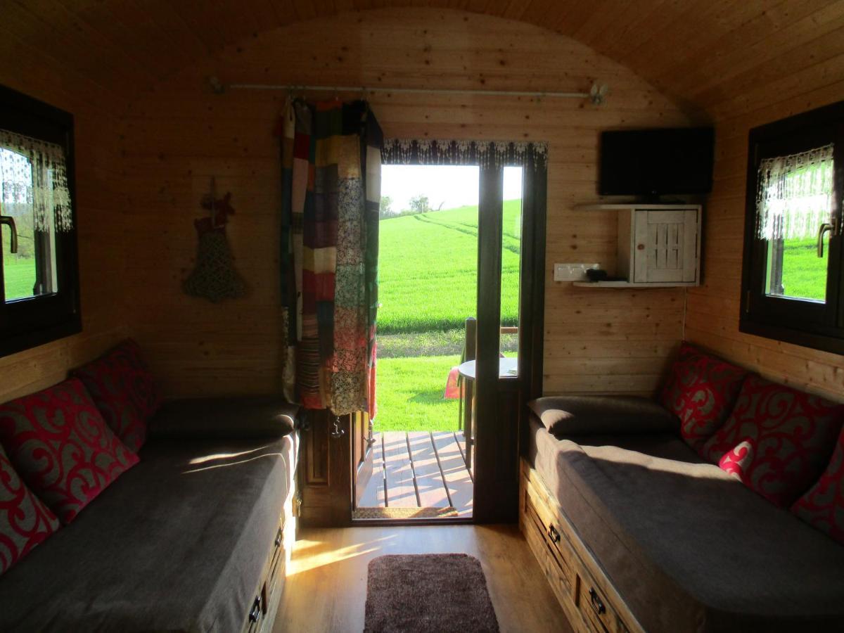 Roulotte Panoramique Du Moulin Bed & Breakfast Chatillon-sur-Marne Ngoại thất bức ảnh